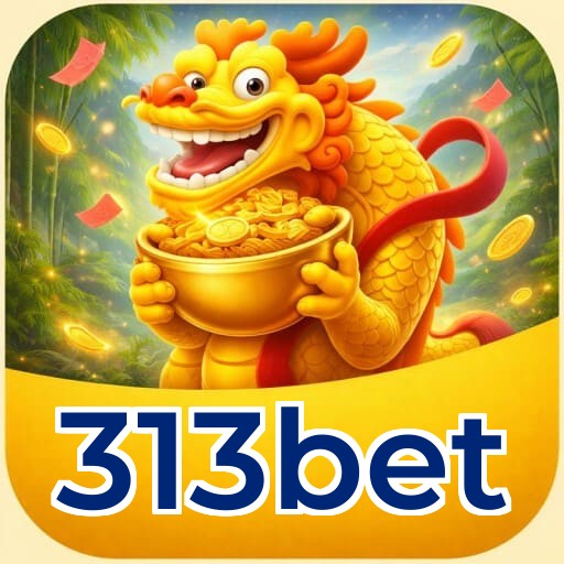 Resumo visual de bônus e campanhas 313bet